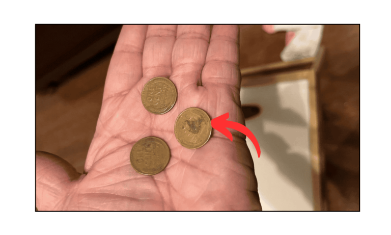 The Lincoln Wheat Penny That Could Be Worth $100 Million – Is It Still in Circulation