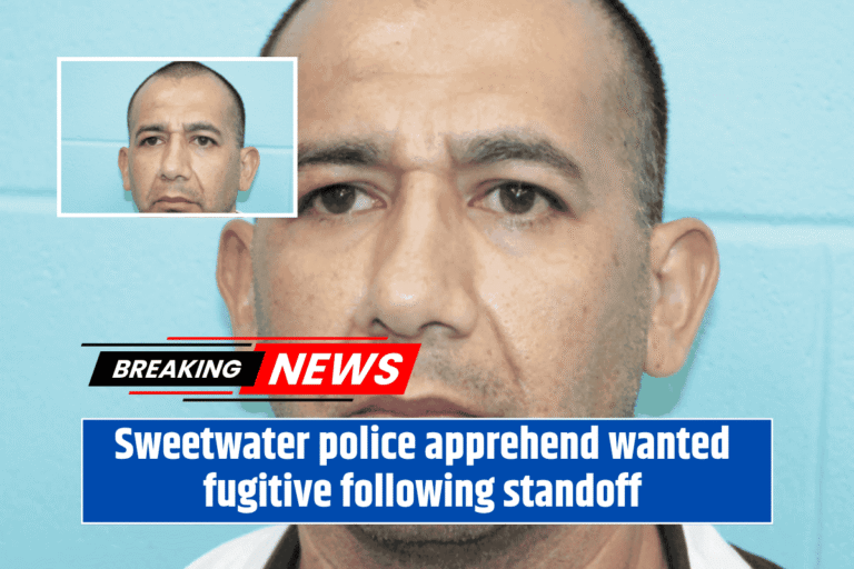 Sweetwater police apprehend wanted fugitive following standoff