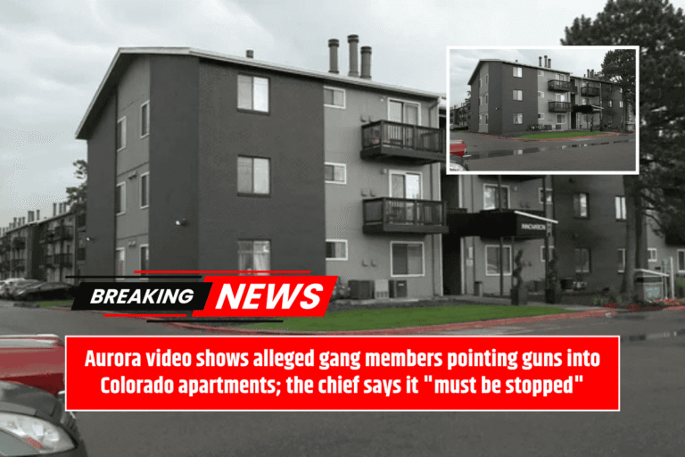 Aurora video shows alleged gang members pointing guns into Colorado apartments; the chief says it "must be stopped"