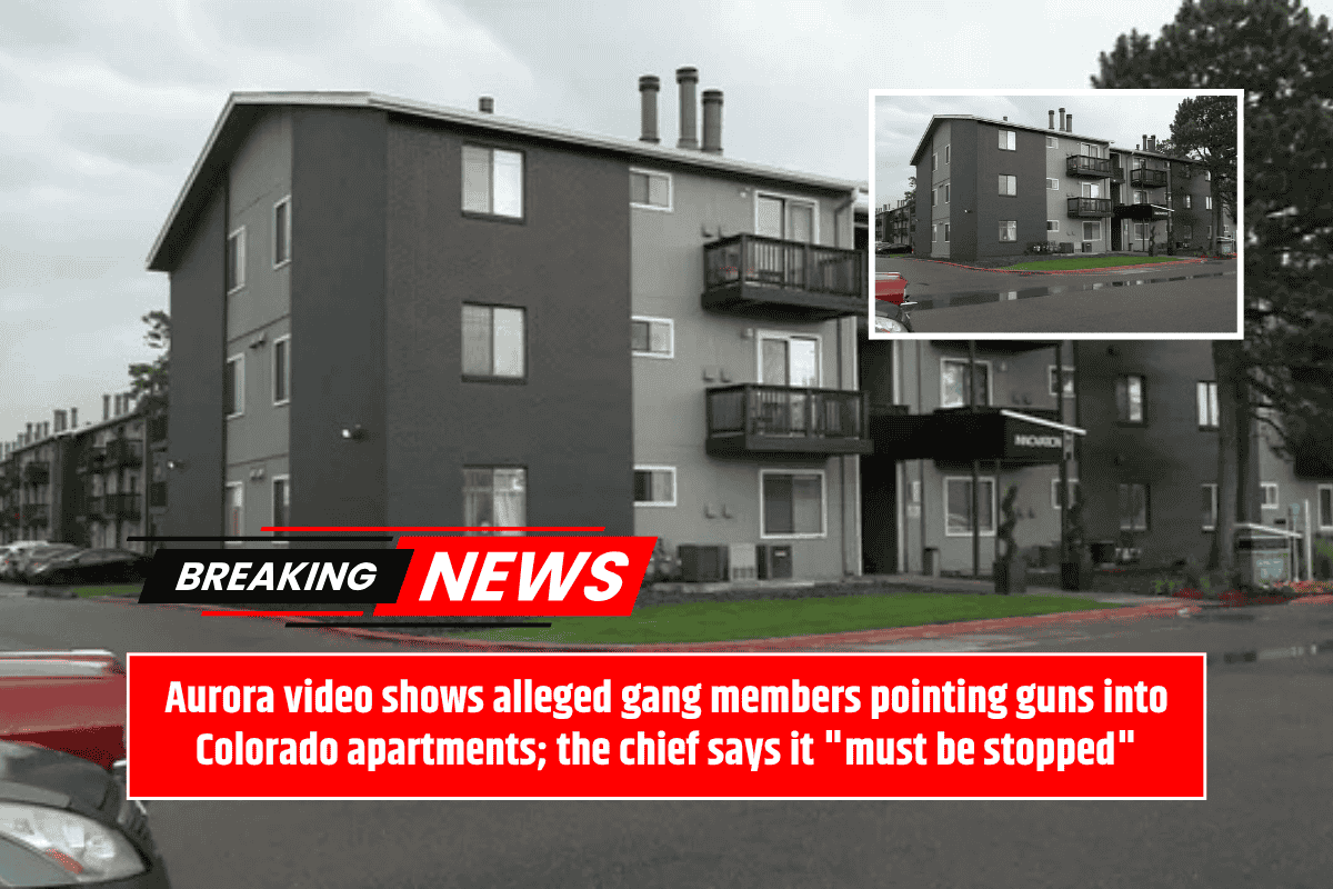 Aurora video shows alleged gang members pointing guns into Colorado apartments; the chief says it "must be stopped"