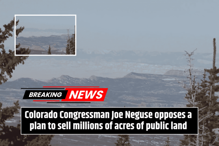 Colorado Congressman Joe Neguse opposes a plan to sell millions of acres of public land